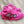 PUMA LAFRANCE
