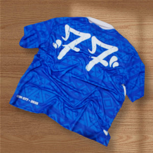 CAMISETA POLO DRY FIT